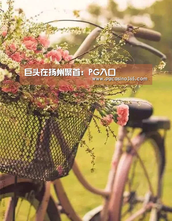 巨头在扬州聚首:PG入口(图1) PG入口