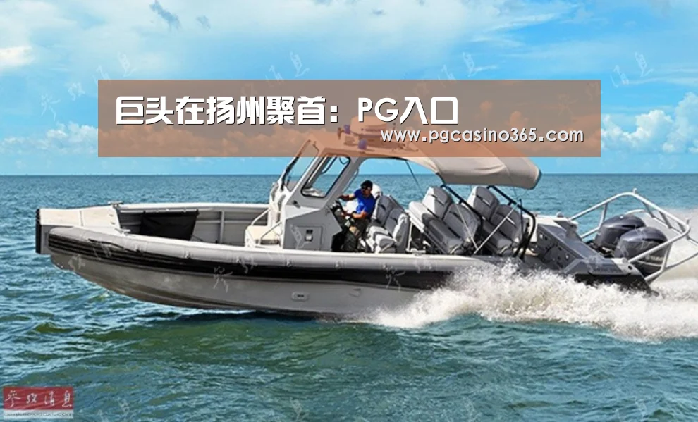 巨头在扬州聚首:PG入口(图3) PG入口