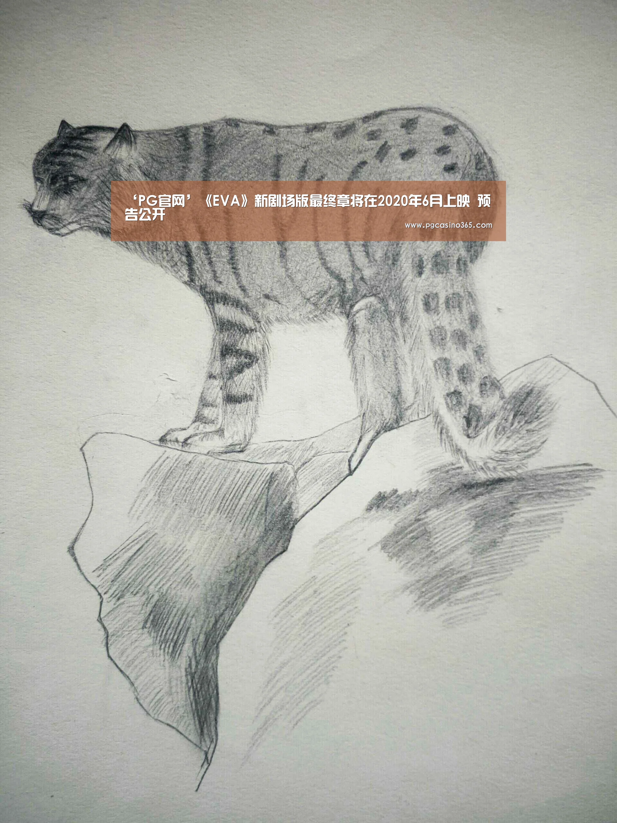 PG电子