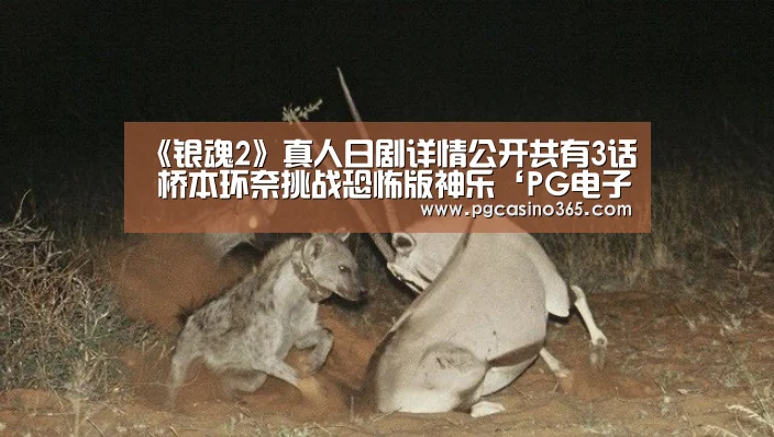 《银魂2》真人日剧详情公开共有3话 桥本环奈挑战恐怖版神乐‘PG电子’(图2) PG入口