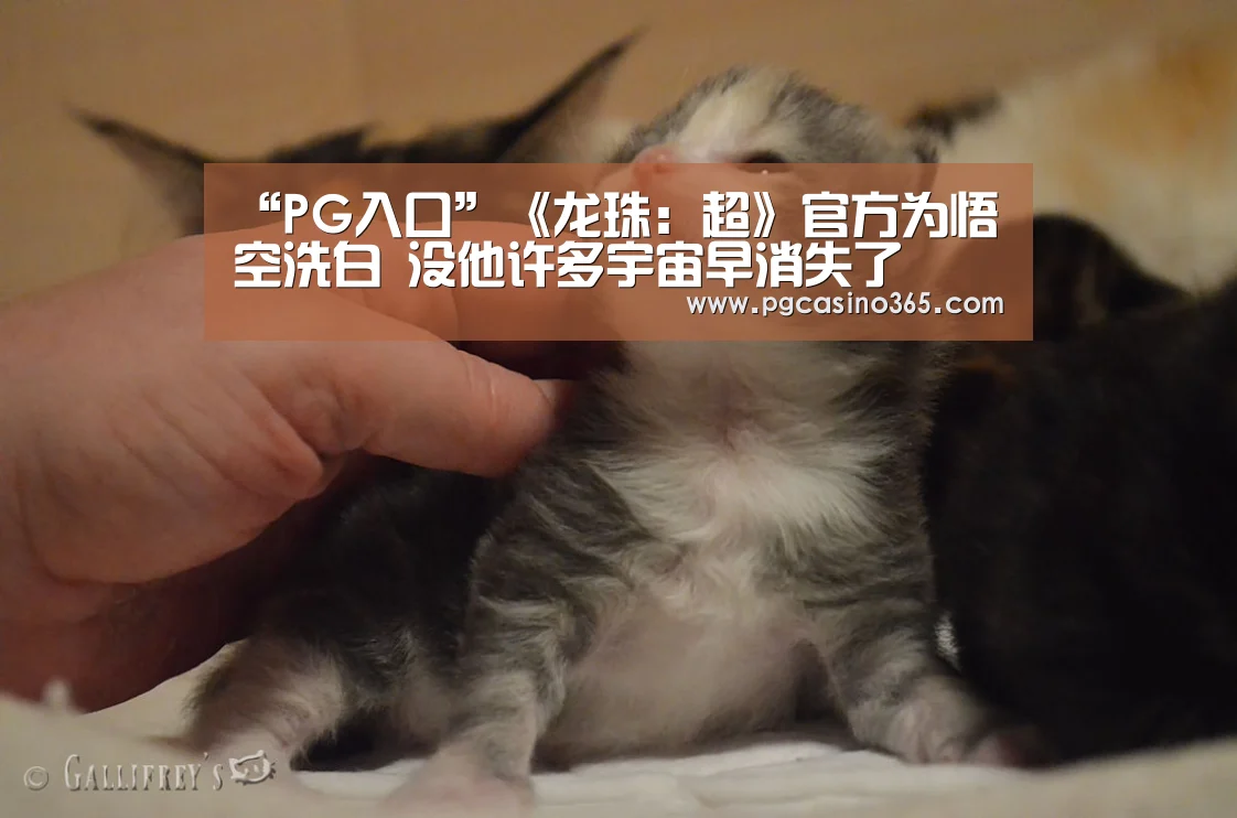 “PG入口”《龙珠:超》官方为悟空洗白 没他许多宇宙早消失了(图4) PG入口