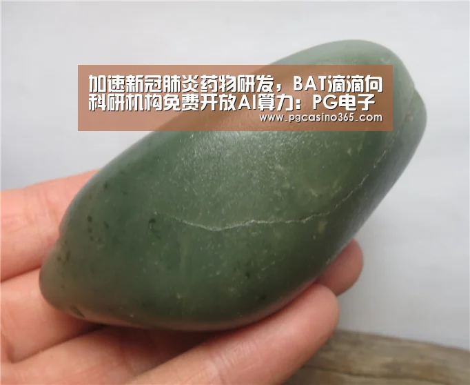 加速新冠肺炎药物研发,BAT滴滴向科研机构免费开放AI算力:PG电子(图3) PG入口