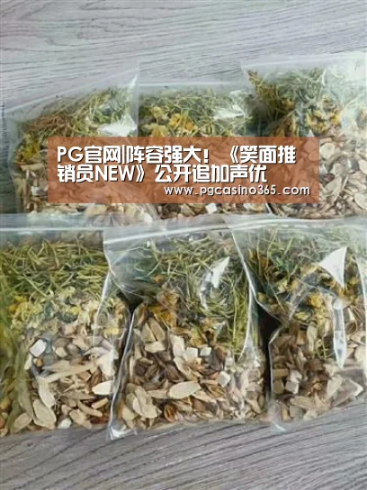PG官网|阵容强大!《笑面推销员NEW》公开追加声优(图2) PG首页