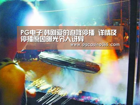 PG电子|韩剧爱的迫降停播 详情及停播原因曝光令人讶异(图4) PG首页