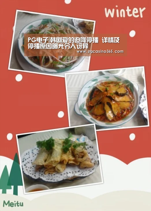PG电子|韩剧爱的迫降停播 详情及停播原因曝光令人讶异(图3) PG电子