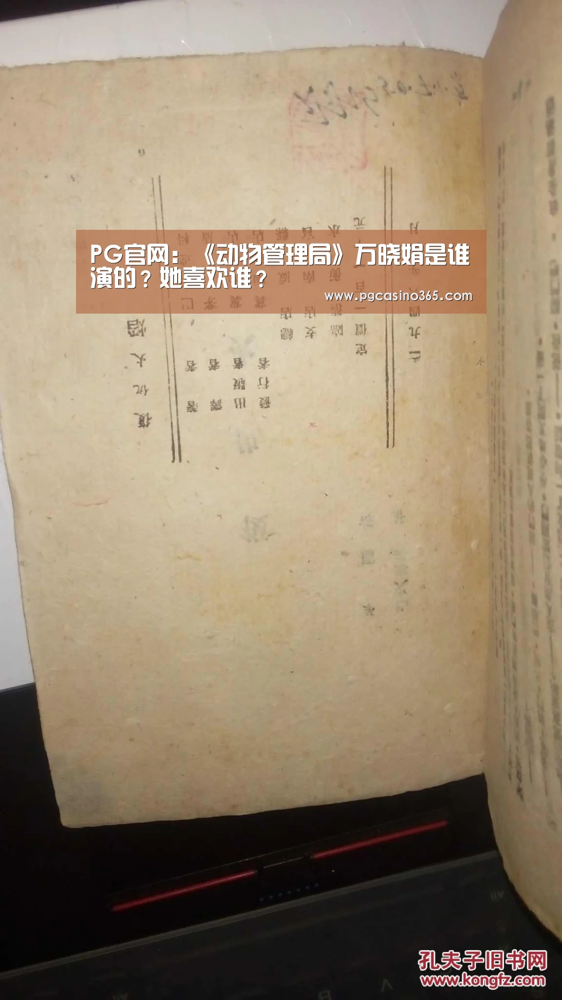 PG首页