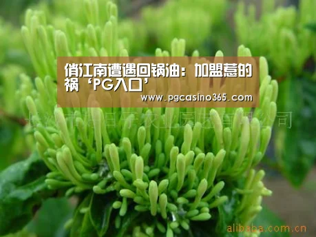 PG电子