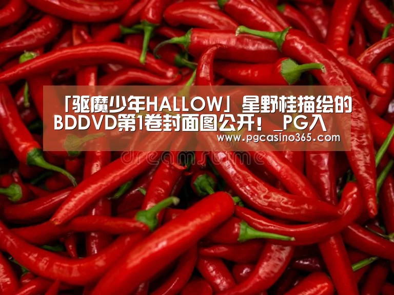 「驱魔少年HALLOW」星野桂描绘的BDDVD第1卷封面图公开!_PG入口(图1) PG首页