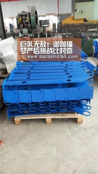 巨乳无敌!御伽猫梦产后挑战比村奇石《星期一的丰满》“PG入口”(图2) PG官网