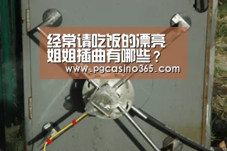经常请吃饭的漂亮姐姐插曲有哪些?插曲歌词详细介绍:PG官网(图3) PG入口