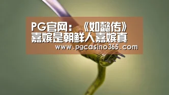 PG官网:《如懿传》嘉嫔是朝鲜人嘉嫔真爱不是乾隆(图1) PG入口