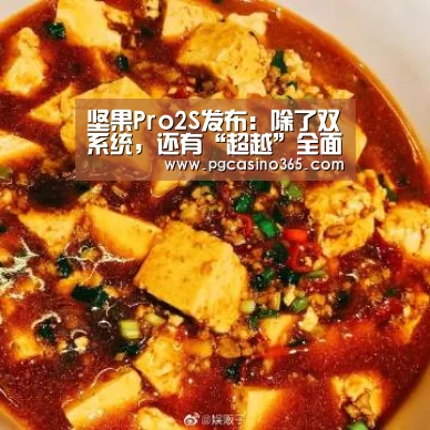 坚果Pro2S发布:除了双系统,还有“超越”全面屏的无限屏-PG首页(图2) PG官网