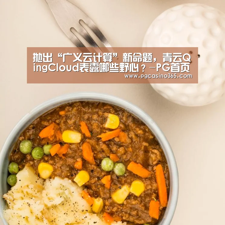 抛出“广义云计算”新命题,青云QingCloud表露哪些野心?-PG首页(图3) PG入口